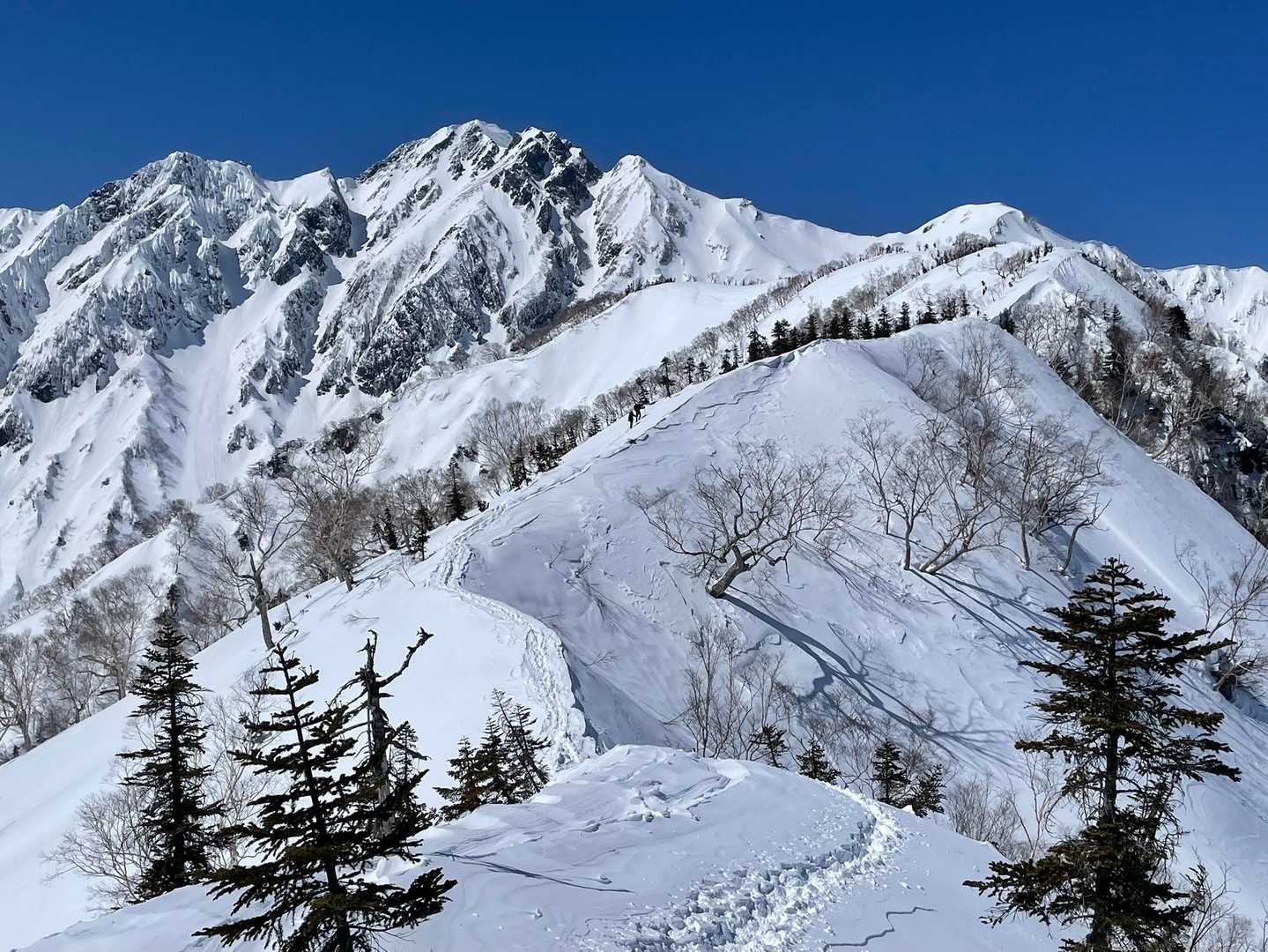 大遠見山へ
急に人が少なくなった
私の後から来る人がいないし、前の方も遠い。ちょっと心細いけど、行ってみよう。