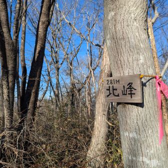 そのあと北峰まで行って見た
眺望ないのね😅