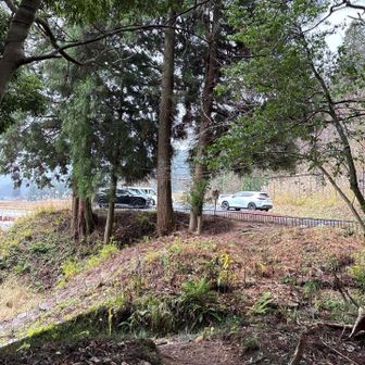 雨だというのに駐車場は減りませんね