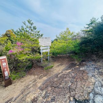 案内は豊富。ここにもミツバツツジ。