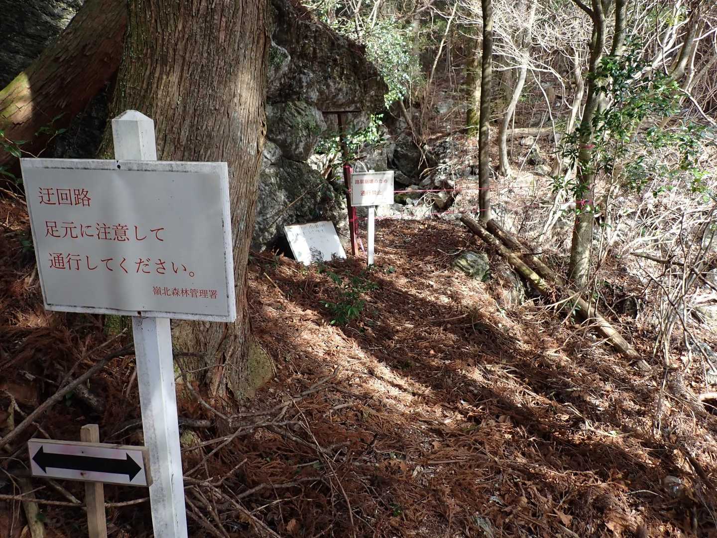 迂回路