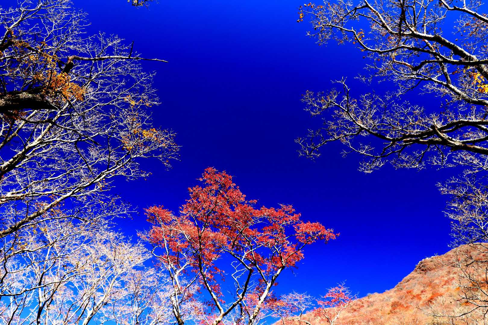 今日は素晴らしい天気に恵まれて。