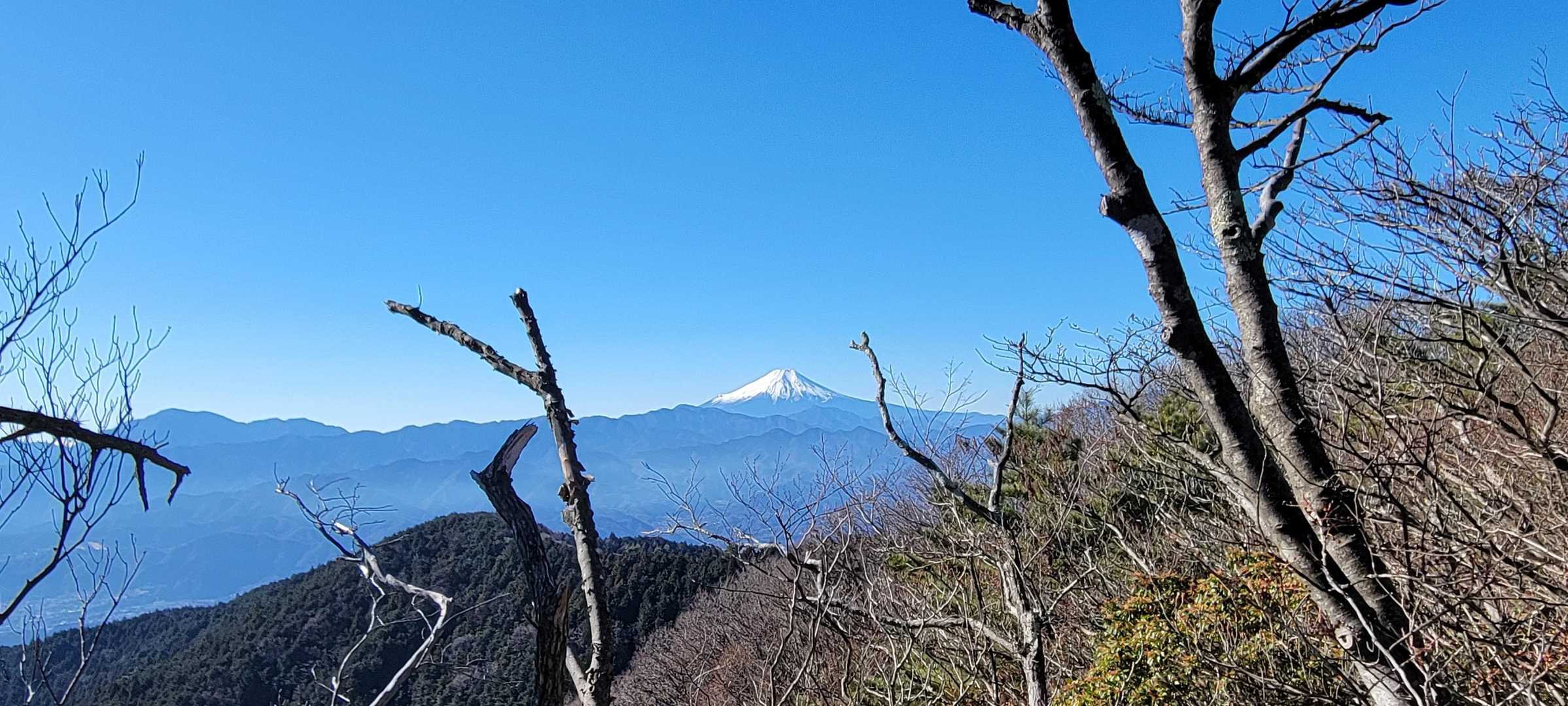 井戸バス停-軍刀利神社-生藤山-連行峰-醍醐丸-醍醐峠-醍 縦走コースの写真