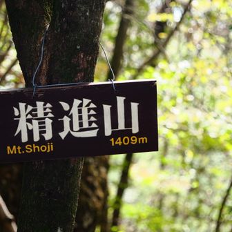 1409mと。