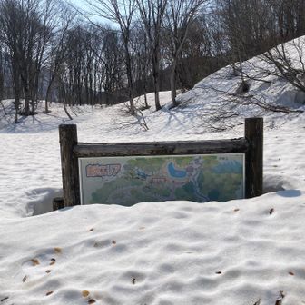 白池の看板は、まだ雪に埋もれていました。