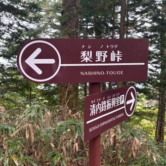 周回コースで梨野峠へ
梨野峠方面入ってすぐに…
木の上に動物💦🐻？と思ったらおっきめの猿🐒…3匹は別々の木の上に…焦ったぁ