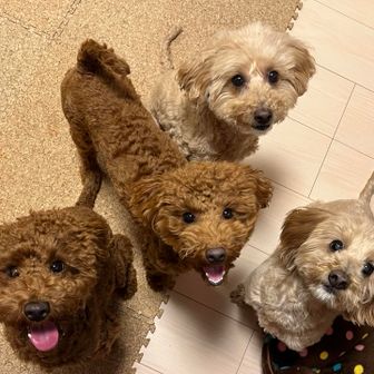 ⛰️ロボ🐶🍺🐾