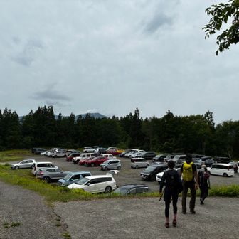 結構な台数止められる、来週、再来週は更に混むのかな