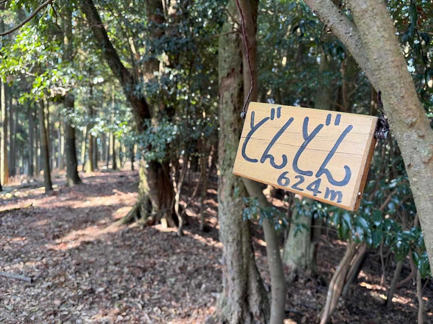 ８座目の山⛰️です。ここから少し進むと急な下りになります。