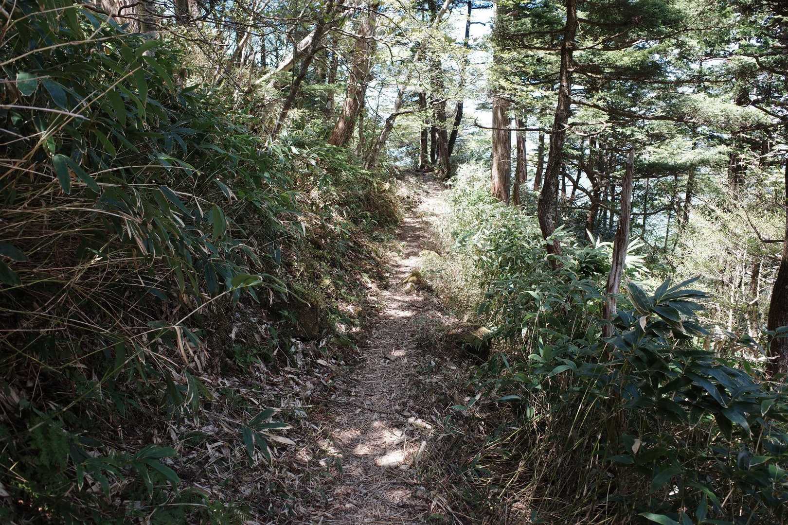 ごくごく普通の登山道