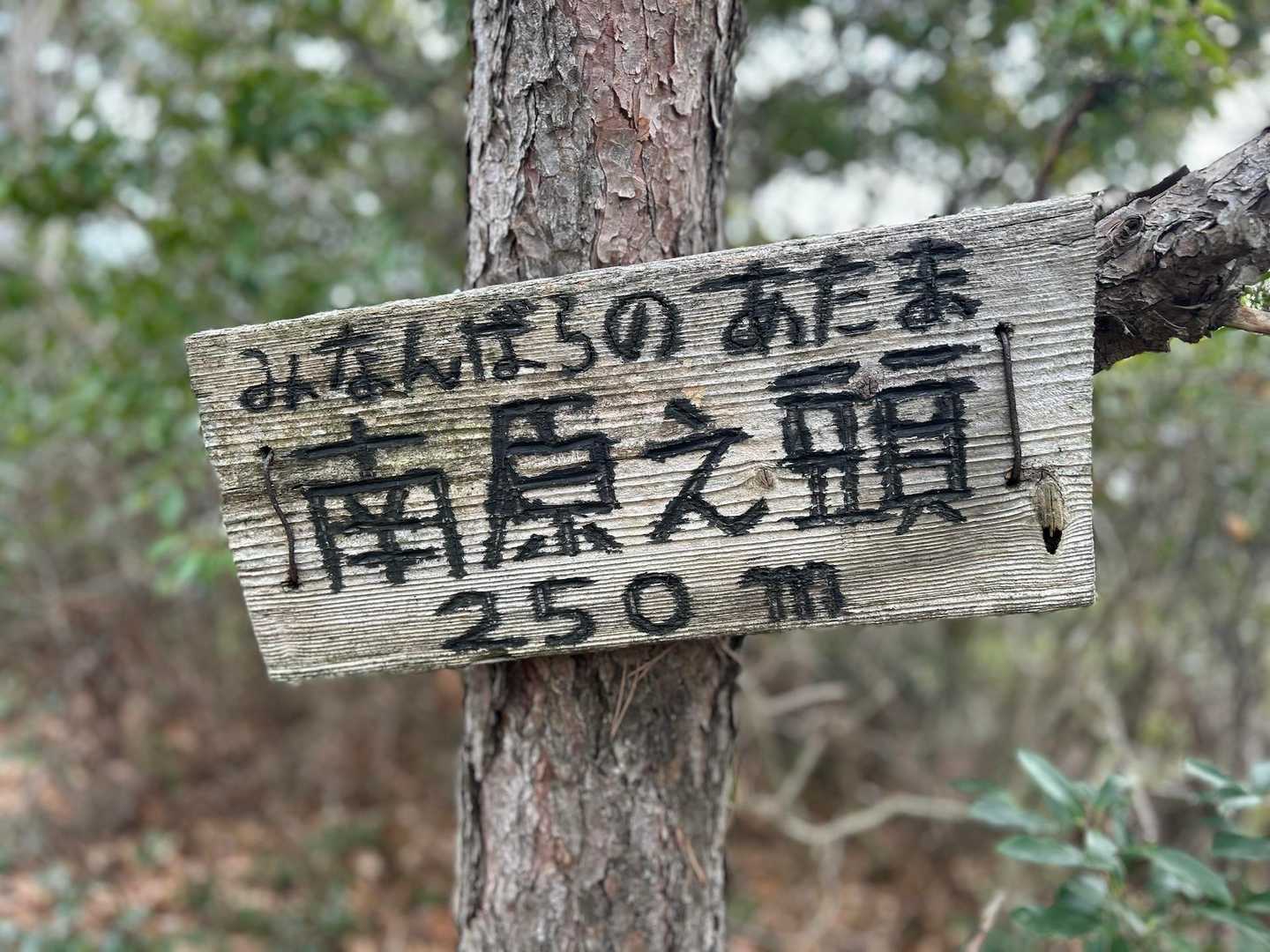 南原之頭の山頂標識