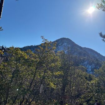 いつもの舟見平より
ここを過ぎるとドロドロ道ですが
長靴なんで楽勝🙆‍♀️