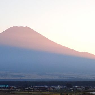 まさかの光景。