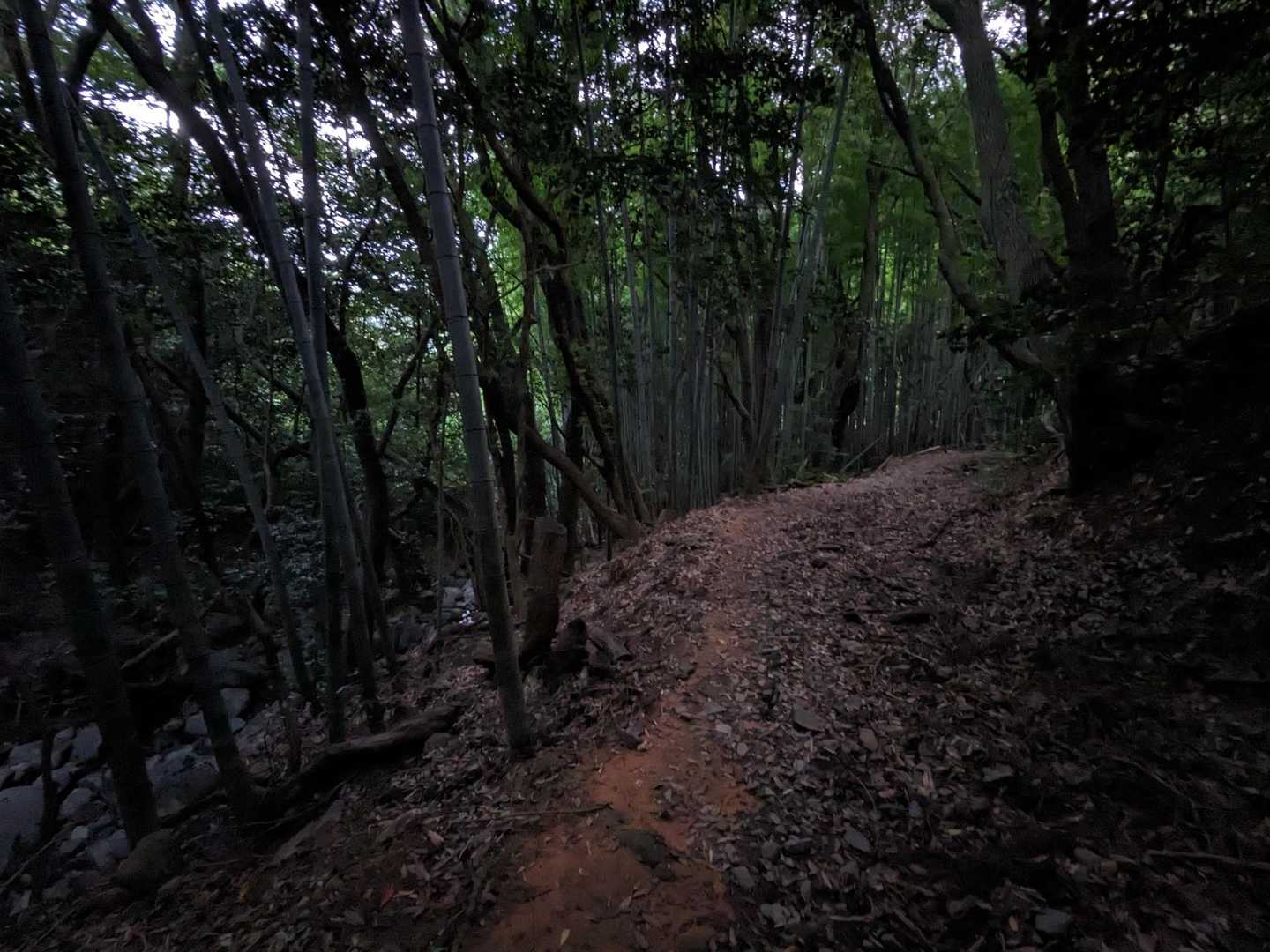 急いで下山するも真っ暗に⚫