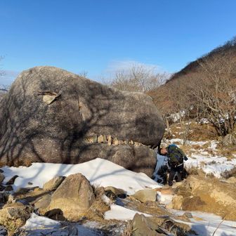 食べられてもいいかも🤣