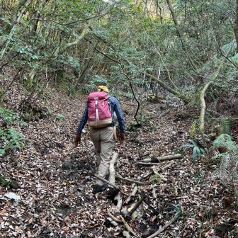 ようやく解放された😮‍💨
