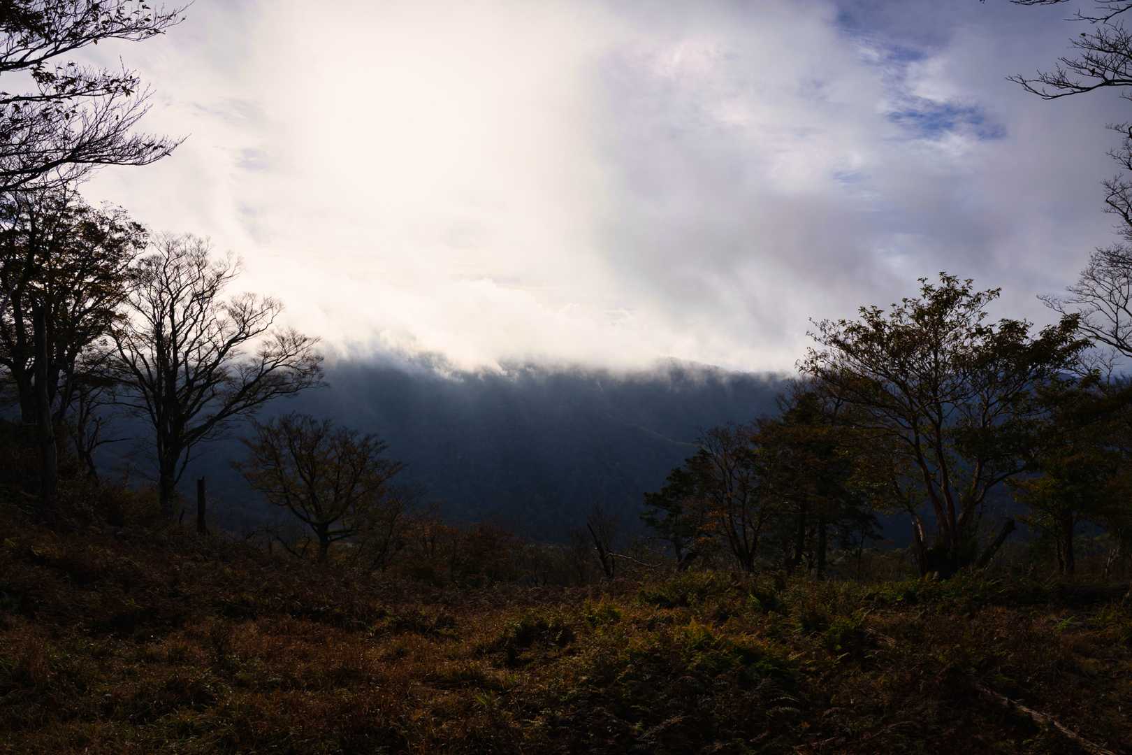 太尾登山口-古田ノ森-千丈平-釈迦ヶ岳 往復コースの写真