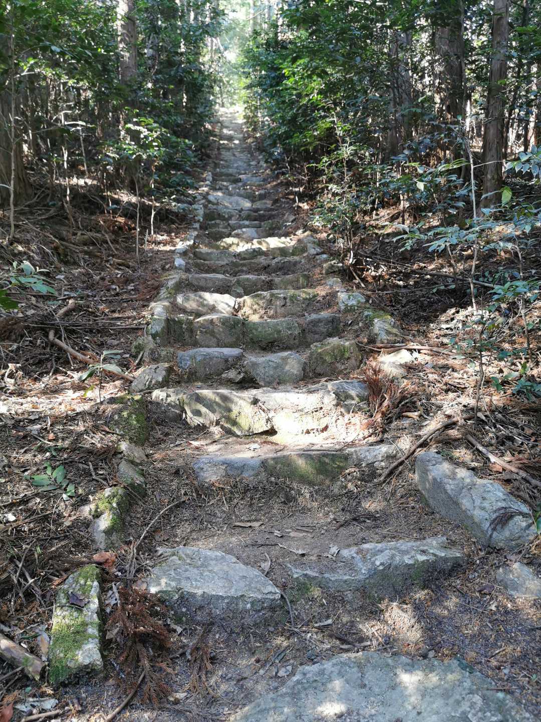 神社⛩️最後の石段💃