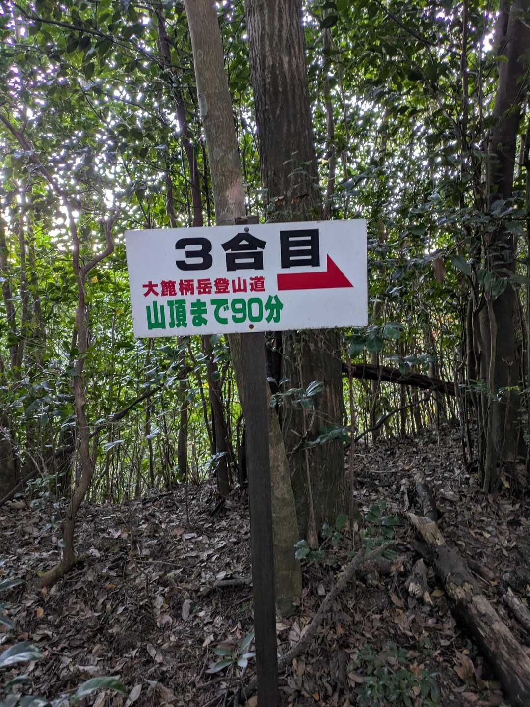 3合目過ぎから登りが始まります。