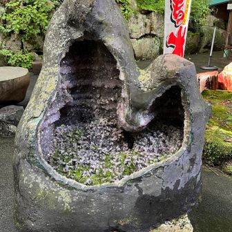 やはり、磨きたいでしょう。
