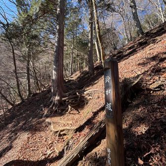 鈴が坂　枯葉で滑る💦