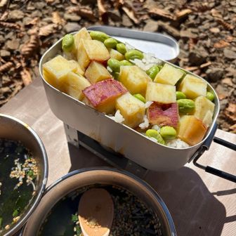 水加減がまだ未熟だけど、秋らしいご飯が炊きあがりました