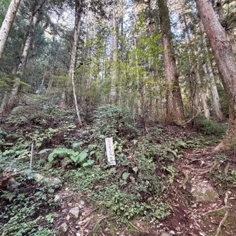 この看板の矢印に惑わされず、右の道が歩きやすかったです(行きは左の方向に行ってしまった💦)
どの方向へ行っても道がどこかで合流します