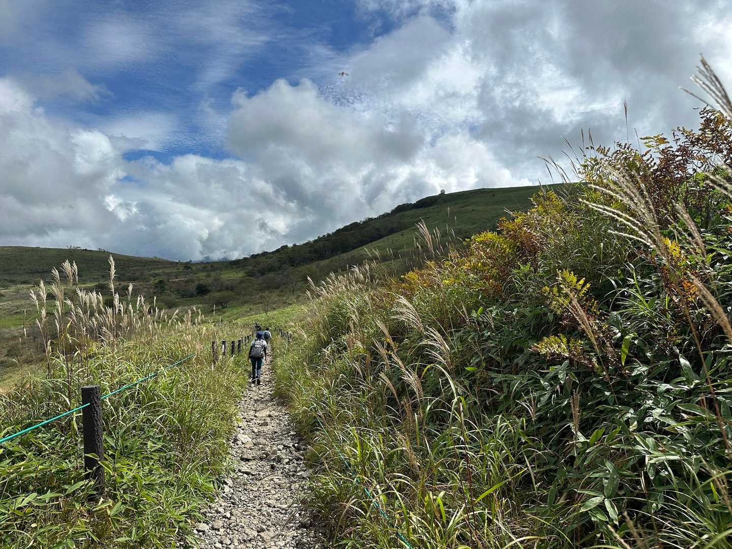 車山肩バス停-霧ヶ峰-車山乗越-蝶々深山 周回コースの写真