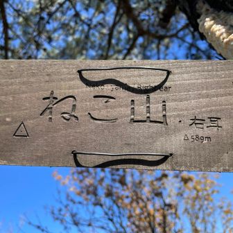 右耳に戻る。こちらの方が見晴らし良い。狭いけど。