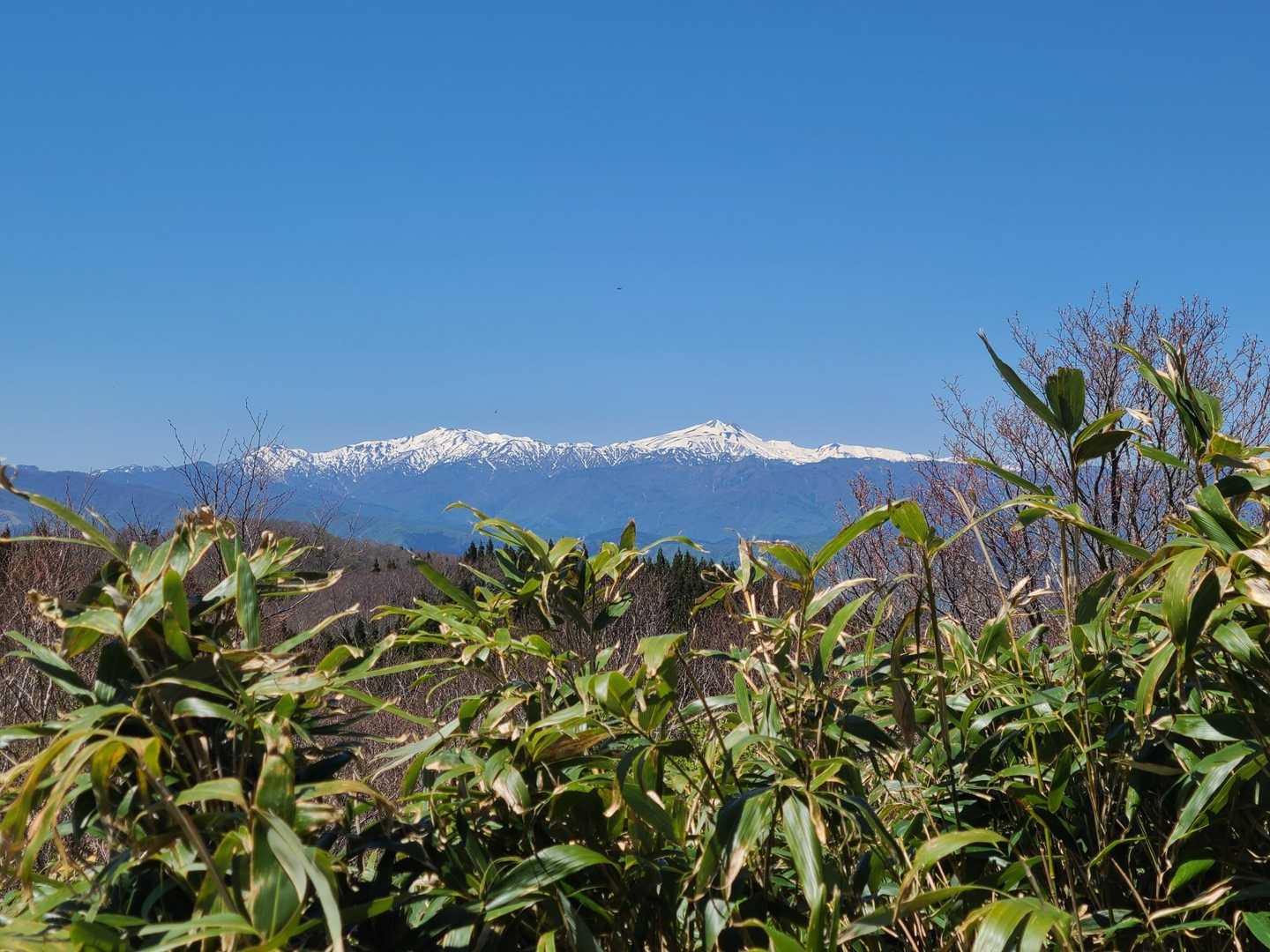 振り返れば白山✨

またのちほど、山頂からじっくり眺めるとしよう🎵
