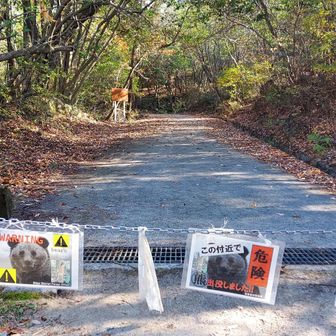 なんとか登山口に到着。落ヶ滝に寄り道したかったが痛みに耐えられずあきらめた。
クマ🐻出没したってよ。その割には熊鈴付けてる人少なかったな。

おつかれ山！
金勝アルプス、楽しいお山でした。
ありがと山！
でも、左ひざが痛すぎた。しばらく散歩レベルに抑えるか。。。

帰りは高速で。新名神から見上げる天狗岩もカッコよかったよ。