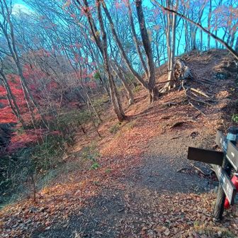 午前中に通過した三葉峠に再度到着。
