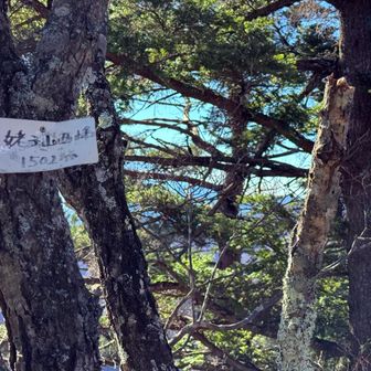 姥子山は双耳峰　まずは西
こちらはあまり眺望良くない