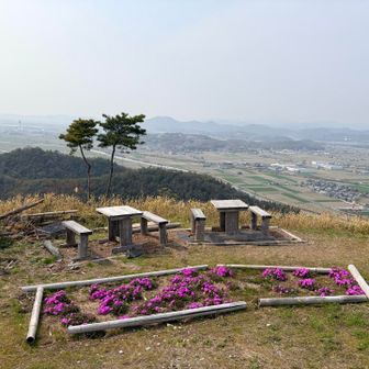 ２卓限定の特別席