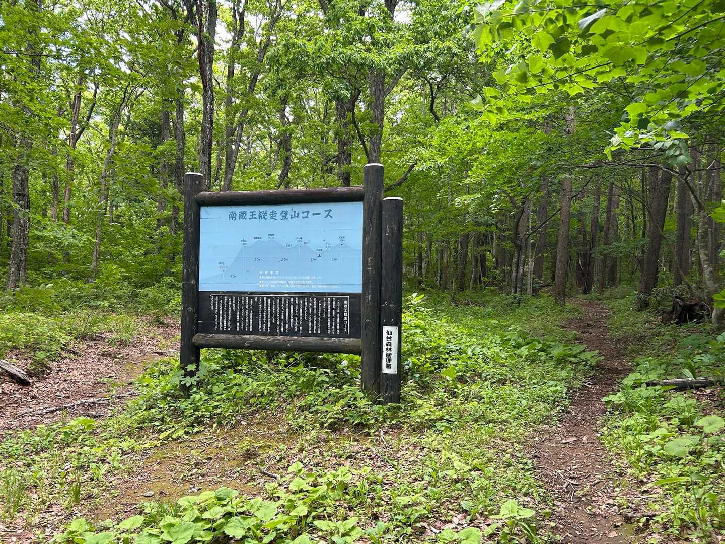 長い長い下山路が終わりホッとした。
看板の左に行くと行き止まり、
右に進むのが正解です✅