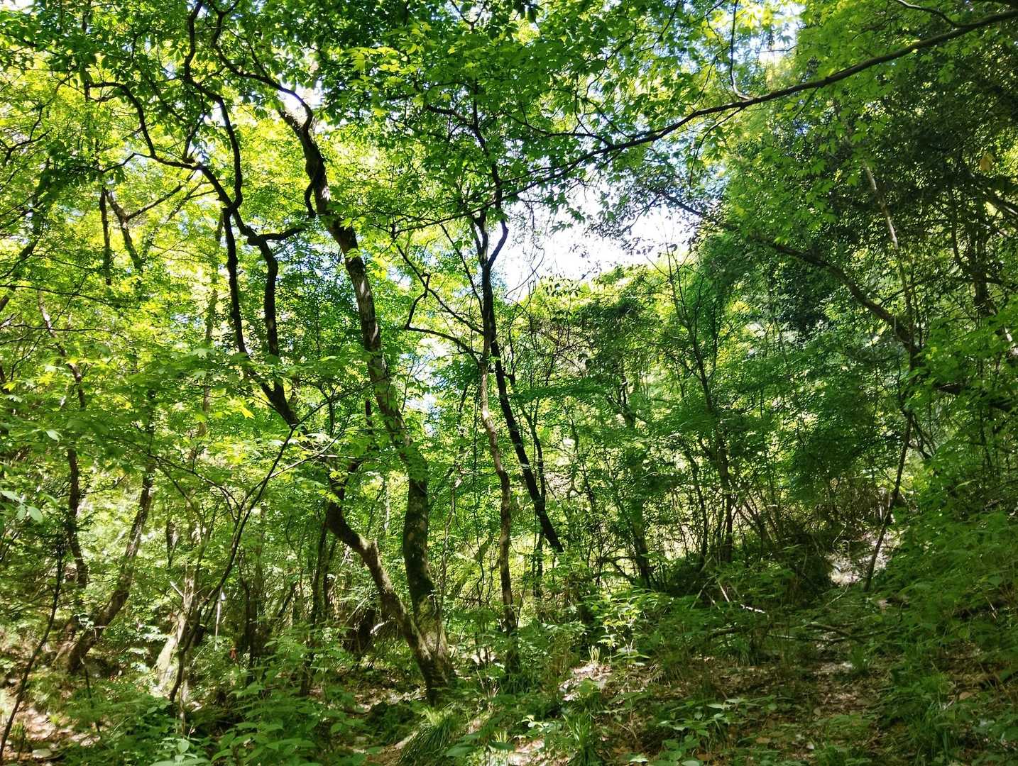 たまんないね。