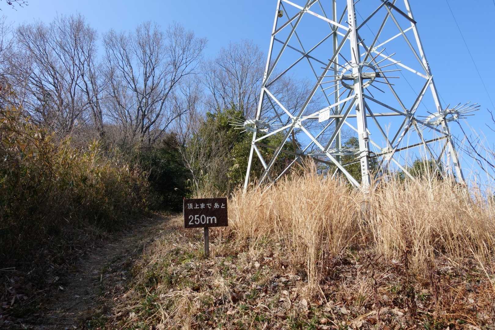 あと少しですが、急登でした。