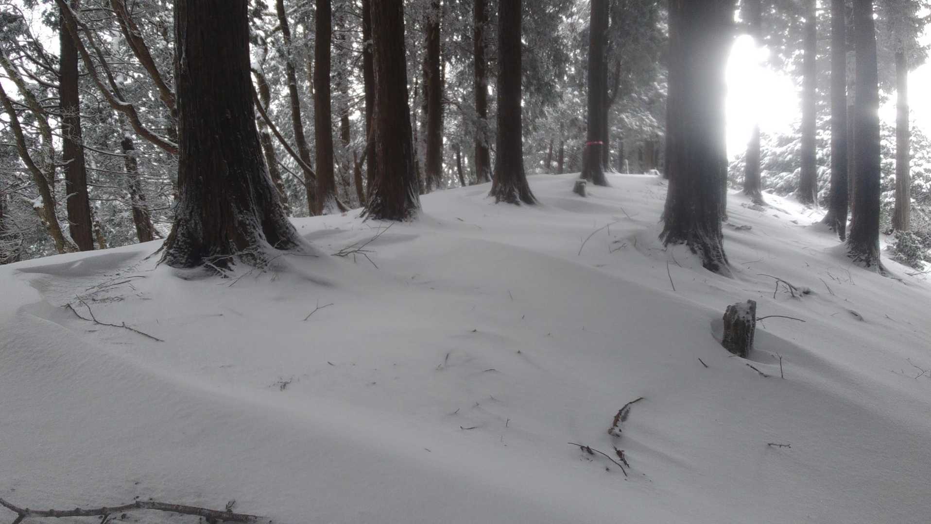 写真の枚数増えます🤭
