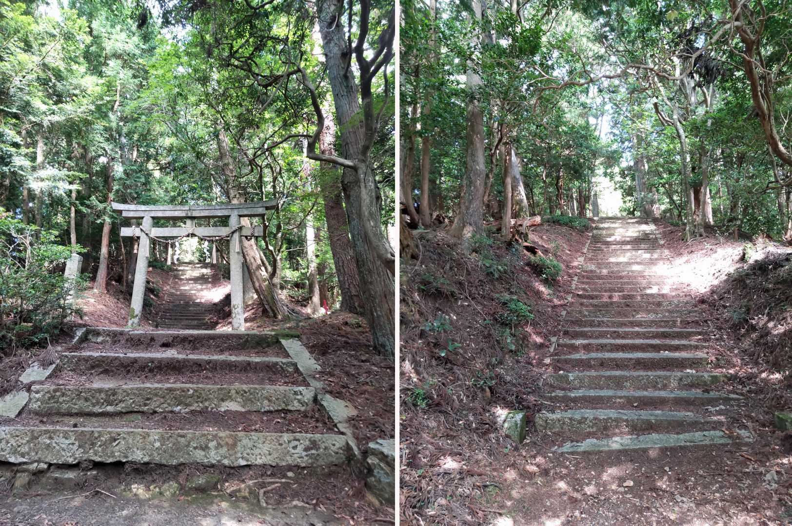 石段が出てくると金刀毘羅神社ももうすぐです。