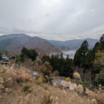 やっと奥多摩湖が見えてきた（腿がパンパン）
