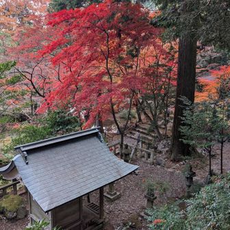 聖宝寺・紅葉🍁②