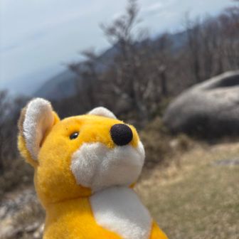 トミノヤマ