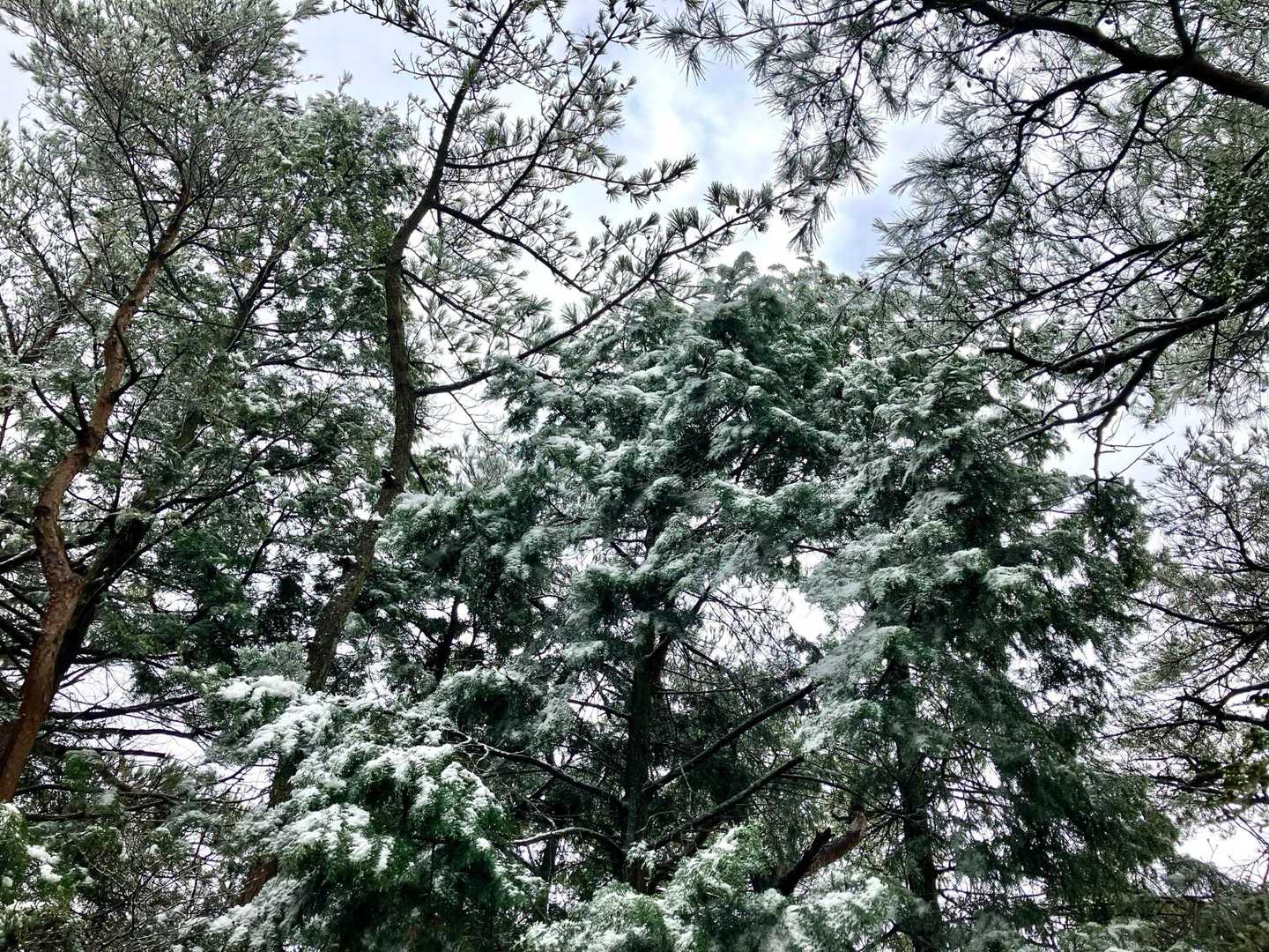 白石峰で。雪が。