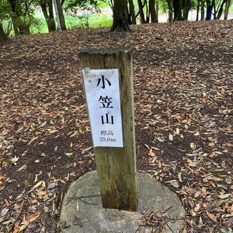 山頂④⛰️