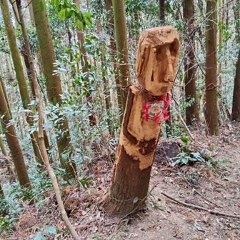 木彫りの小さなモアイ🗿が、います👀
