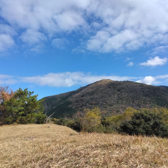 鷹取山から望む！