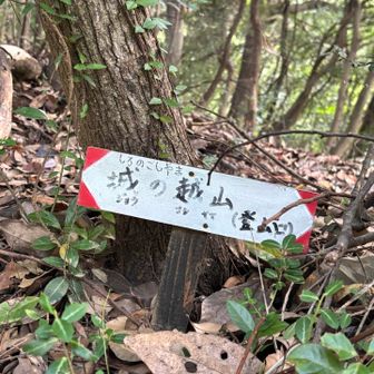 ここが登山口🪧