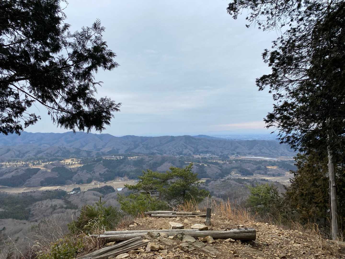 いい里さかがわ館-焼森山登山口-ミツマタの小径入口-鶏足山 往復コースの写真
