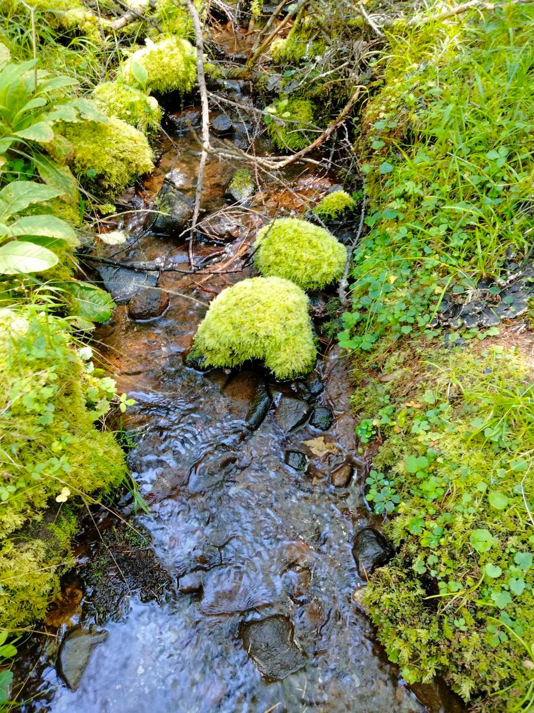 美濃戸口登山口-美濃戸登山口-赤岳-地蔵ノ頭-堰堤広場 周回コースの写真