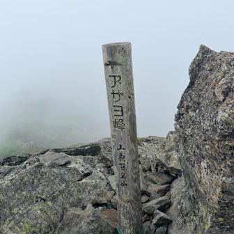 アサヨ峰(山梨100名山)